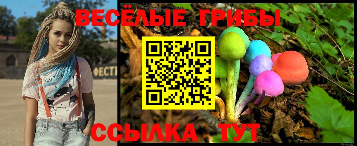 Галлюциногенные грибы Magic Shrooms Ялта