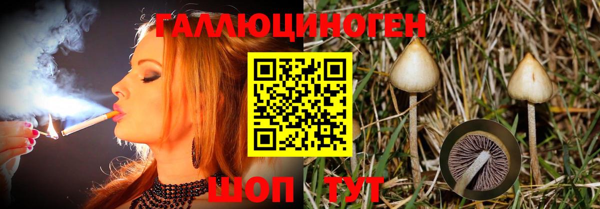 Ялта  Галлюциногенные грибы Cubensis  Вход с VPN 